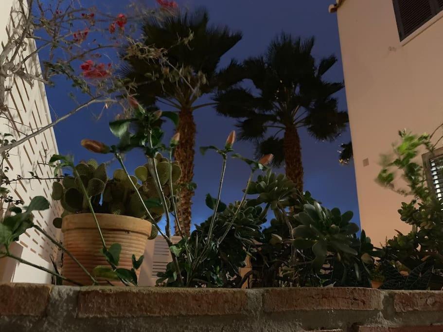Villa Cinco Palmas Almerimar Eksteriør bilde
